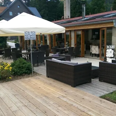Hotel & Garden U Holubu 4*