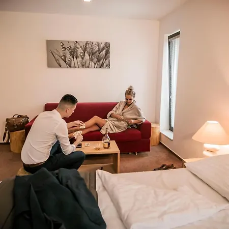 Hotel Hotel & Garden U Holubu 4*